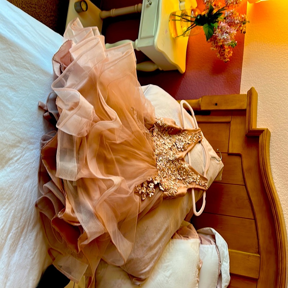 Lace Tulle dress and matching hair piece. Dress has a rip under lace tulle.